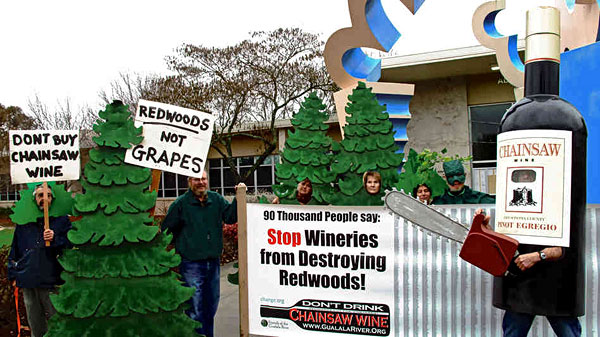 Environmental groups are fighting to stop the leveling of 154 acres of coastal redwoods and Douglas firs to make way for grapevines.