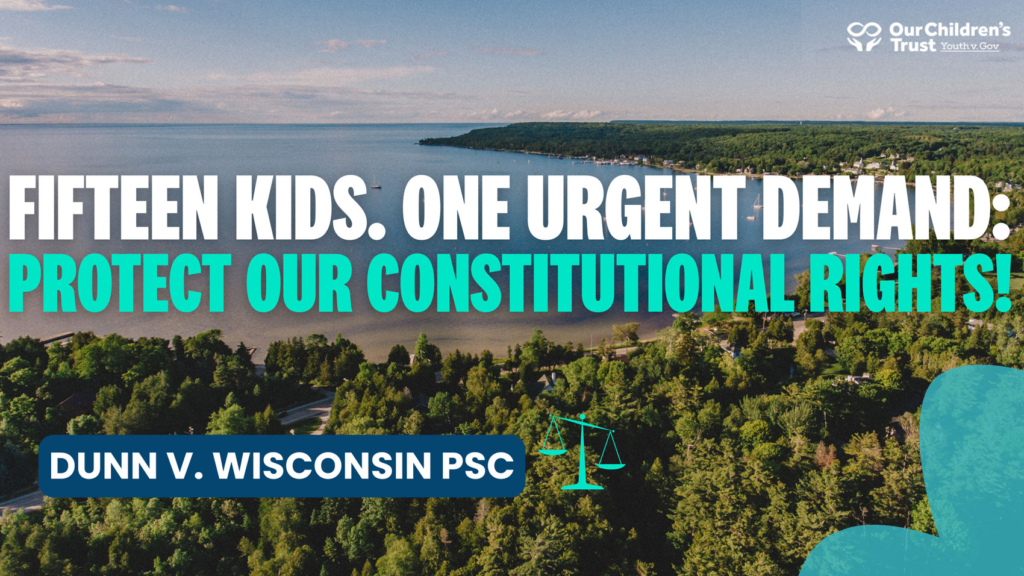 Fifteen Kinds. one Urgent Demand: Protect Our Constitutional Rights"