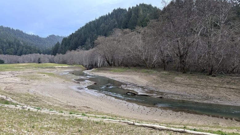 The main restoration site on northern Mendocino County’s Ten Mile River watershed at the Parker Ten Mile Ranch in Calif., on Jan. 21, 2026. Steep inclines to the water made it difficult for juvenile coho to survive storms. At this site alone, 8,000 dump truck loads of dirt were removed to create floodplains for the fish (Mandela Linder via Bay City News)