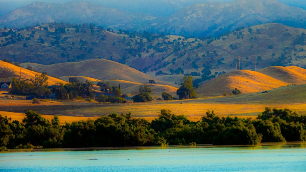 Lake Success, CA, USA, Photo by Donna Elliot on Unsplash