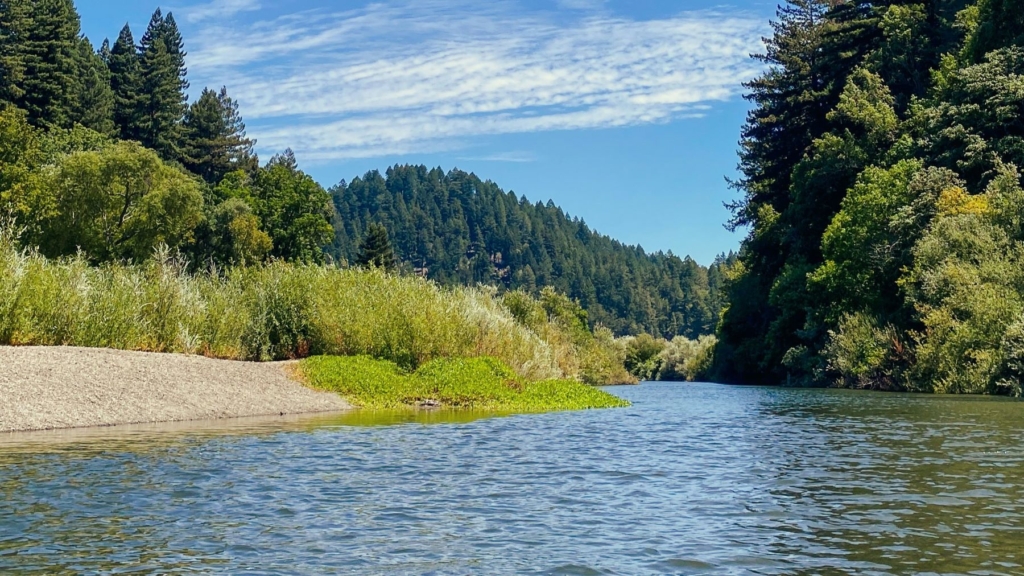 Russian River, California, USA